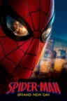 Spider-Man: Brand New Day